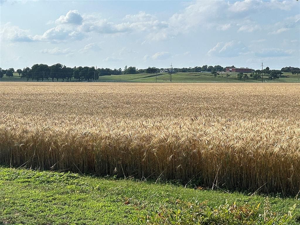 Wide wheat field with farm buildings on the horizon at 6001 N Midwest Blvd, ready for harvest under a high prairie sky